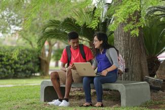 ACC students studying outside